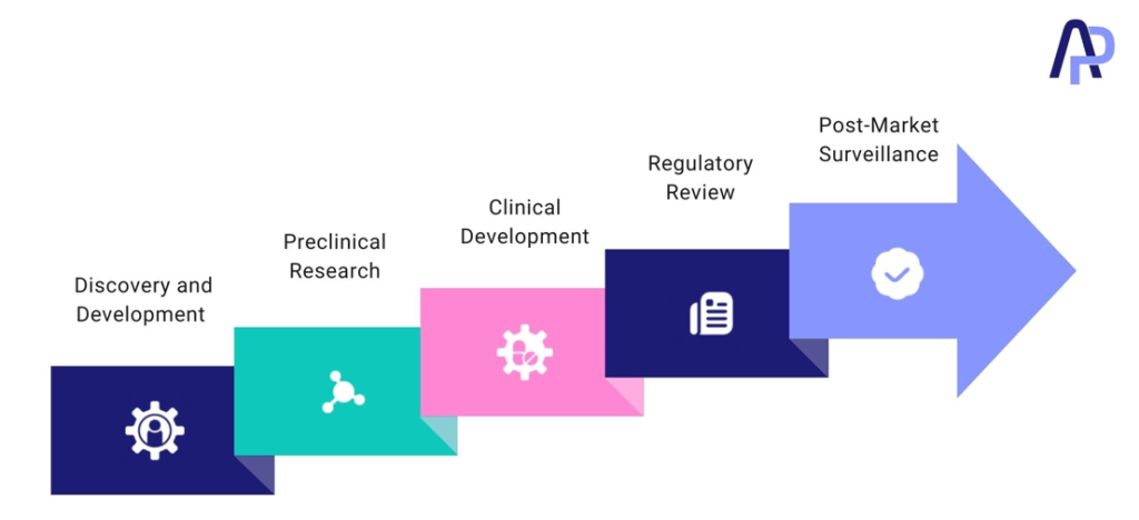 Phases of the drug development process