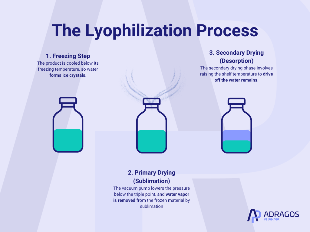 Infographic showing the process of lyophilization