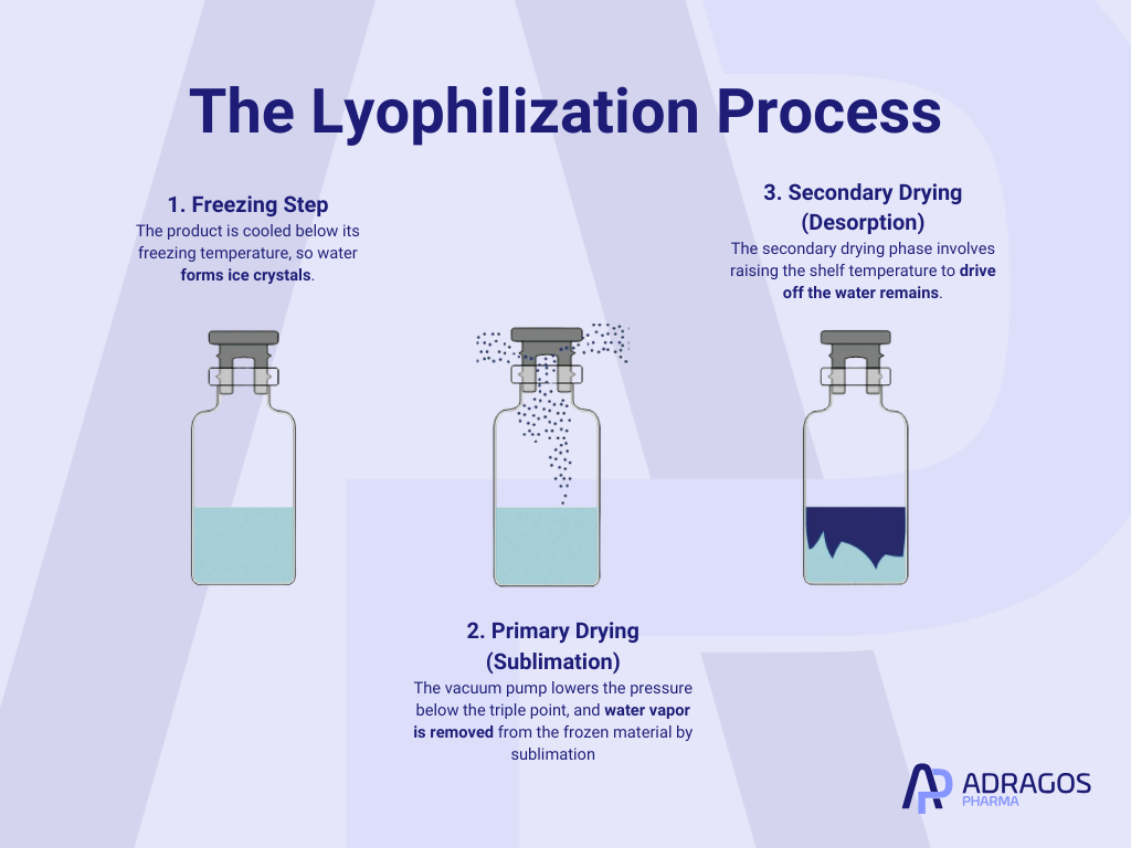 Infographic explaining the steps in the lyophilization process